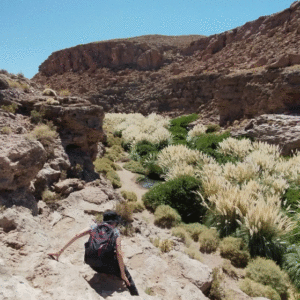 Trekking Purilibre
