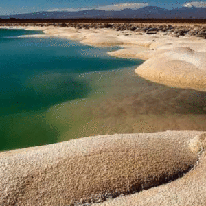 Laguna Cejar