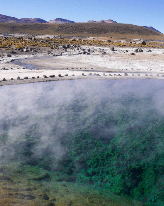 Géiser del Tatio